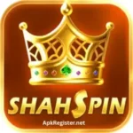 Shah Spin Game